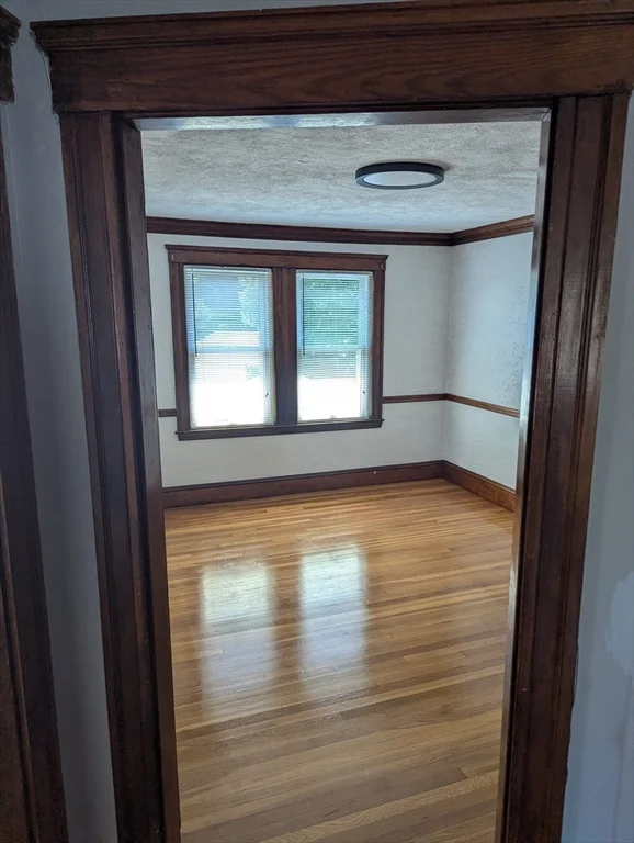 6 Violante St, Mattapan