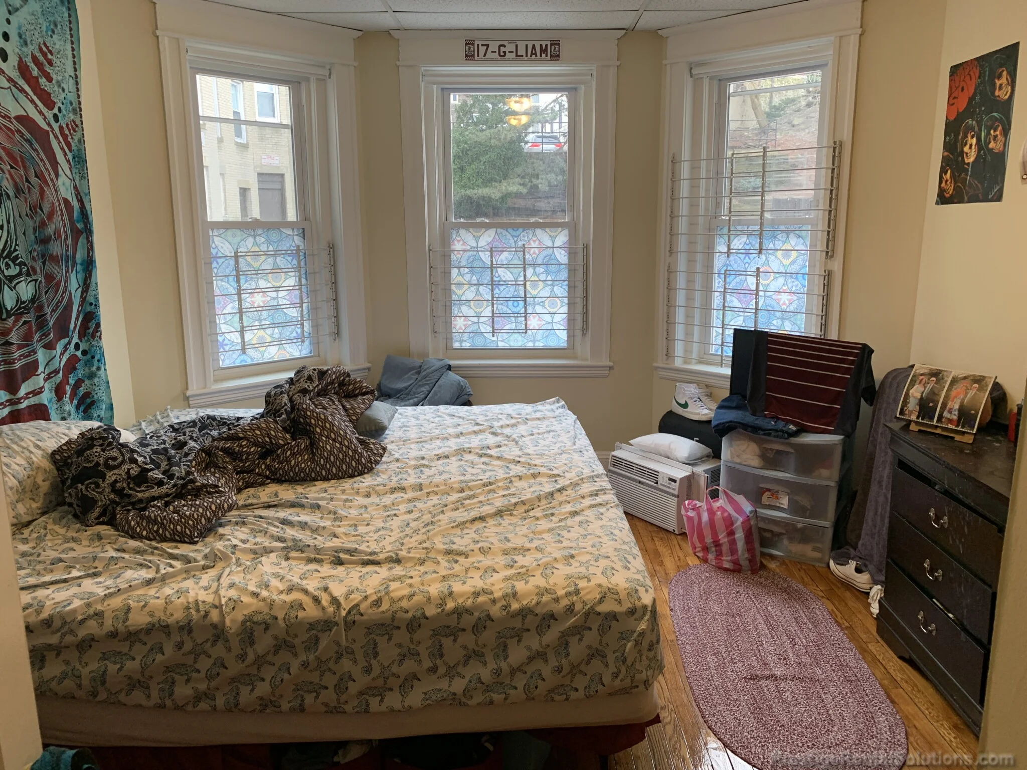 217 Kelton St, Brighton