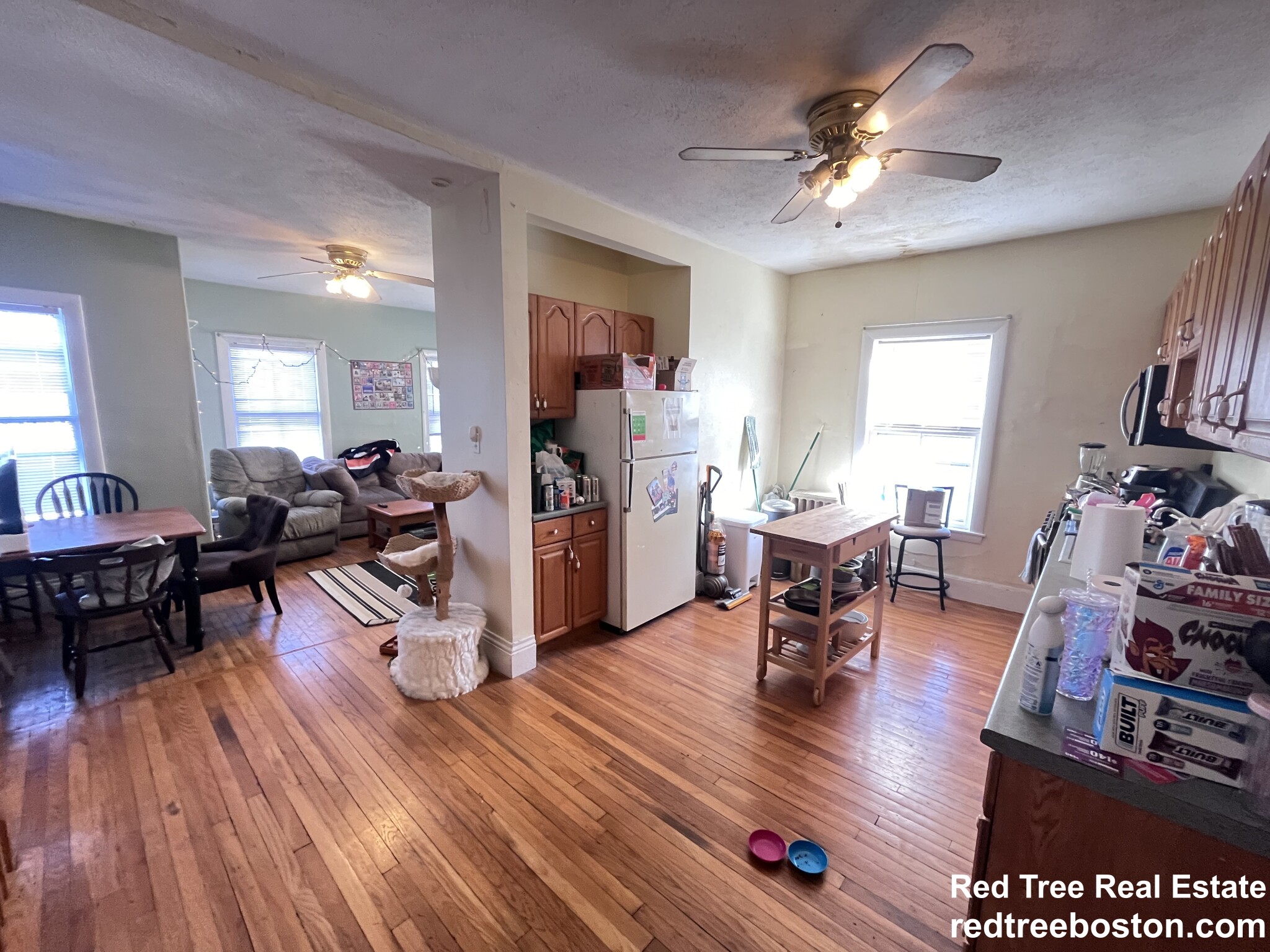 3 Foster St, Brighton