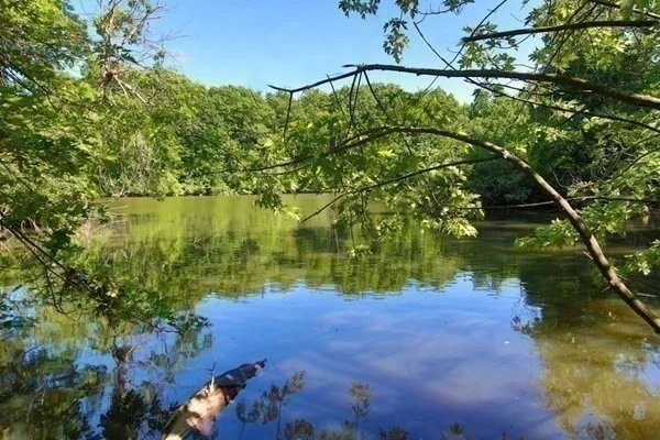 99 Pond, Brookline Village