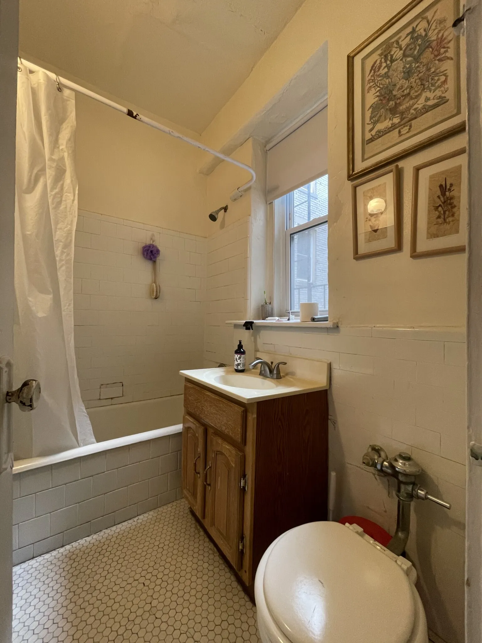 1616 Massachusetts Ave, Neighborhood Nine