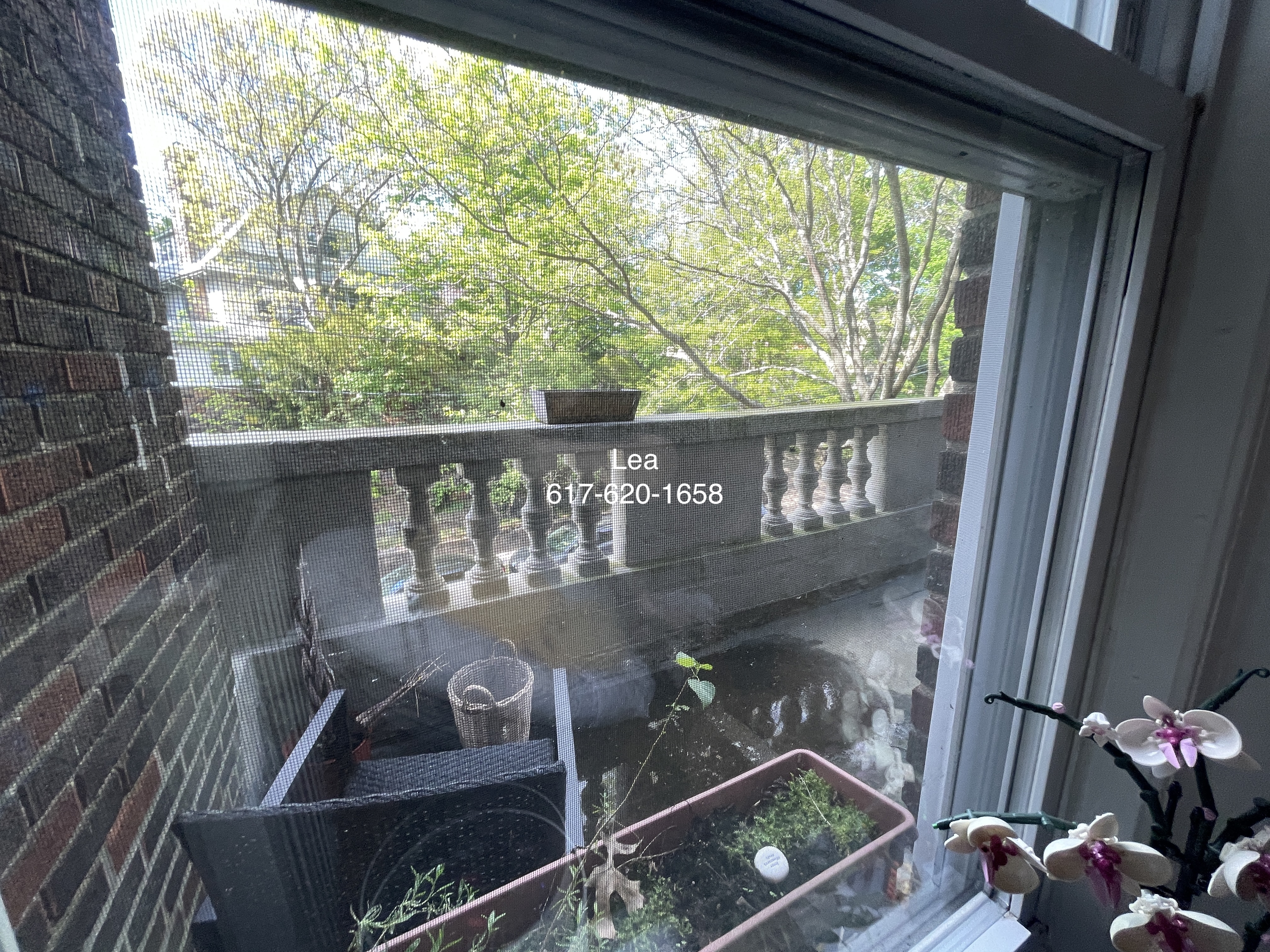 9 Egremont Rd, Brighton