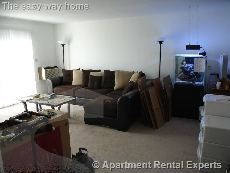 41 Belmont St, Porter Square