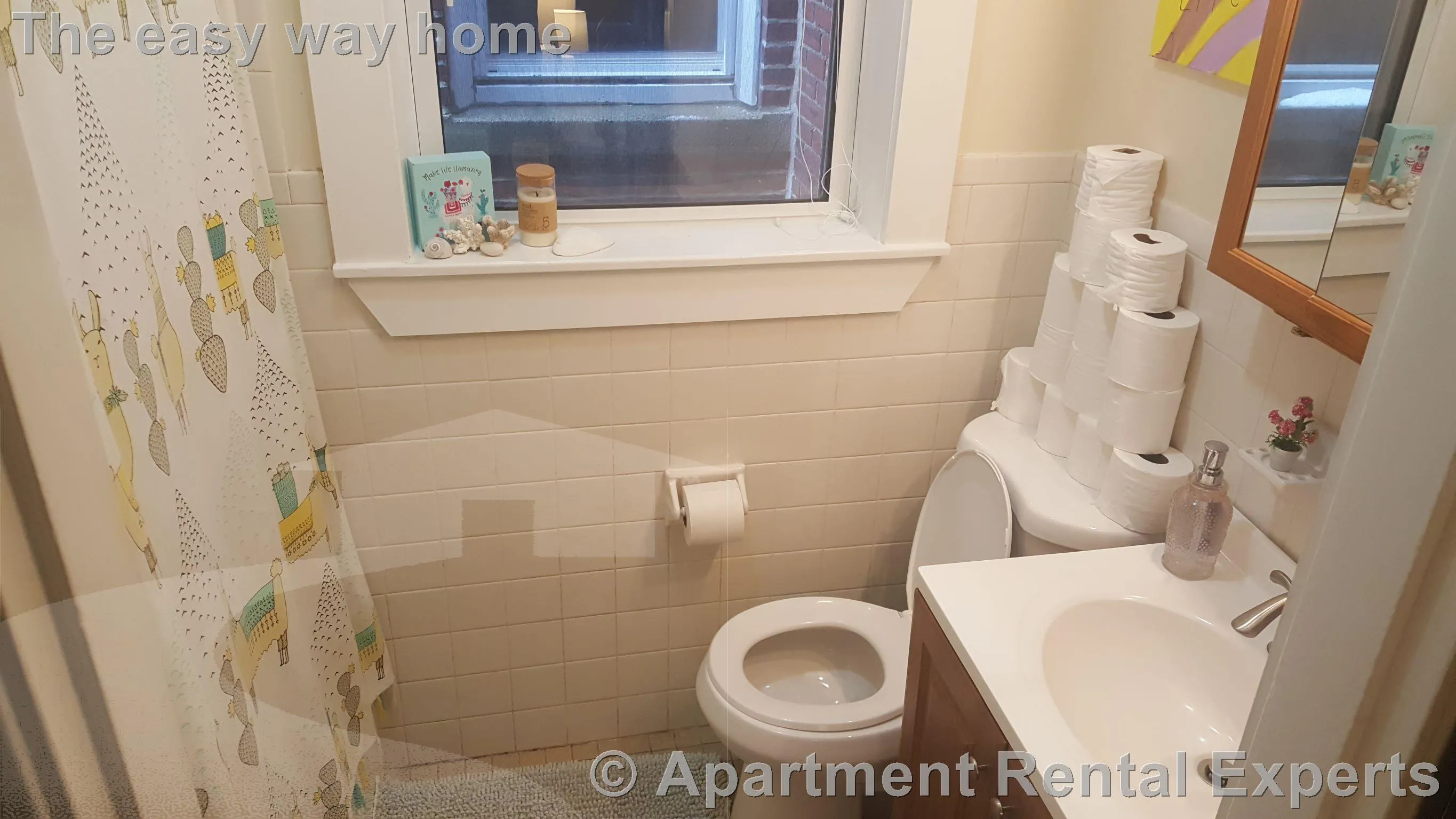 163 Summer St, Spring Hill