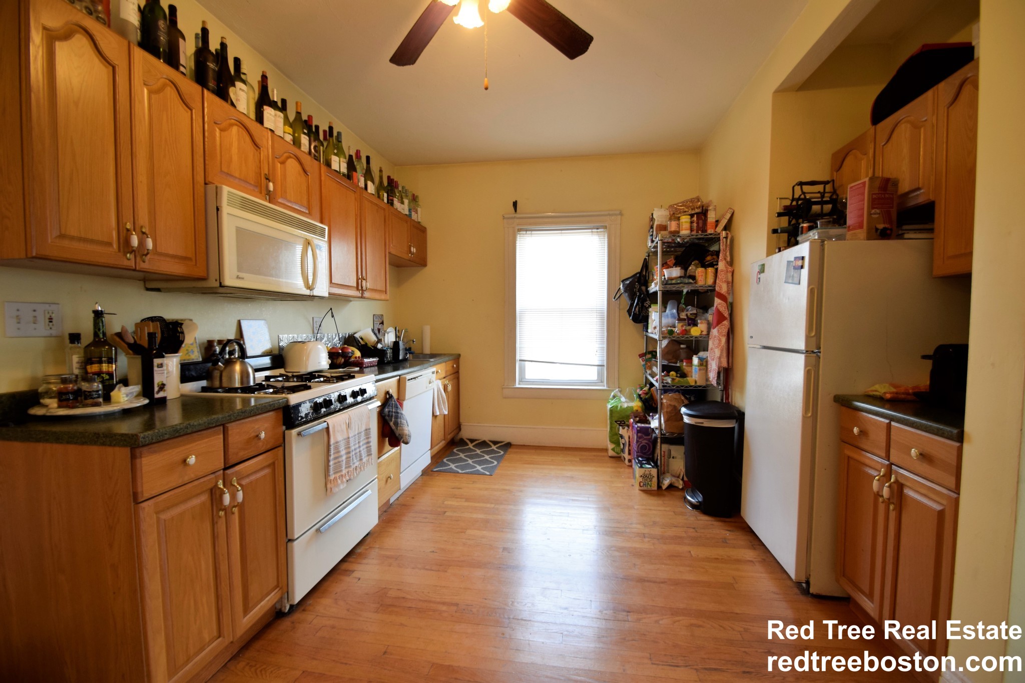 3 Foster St, Brighton