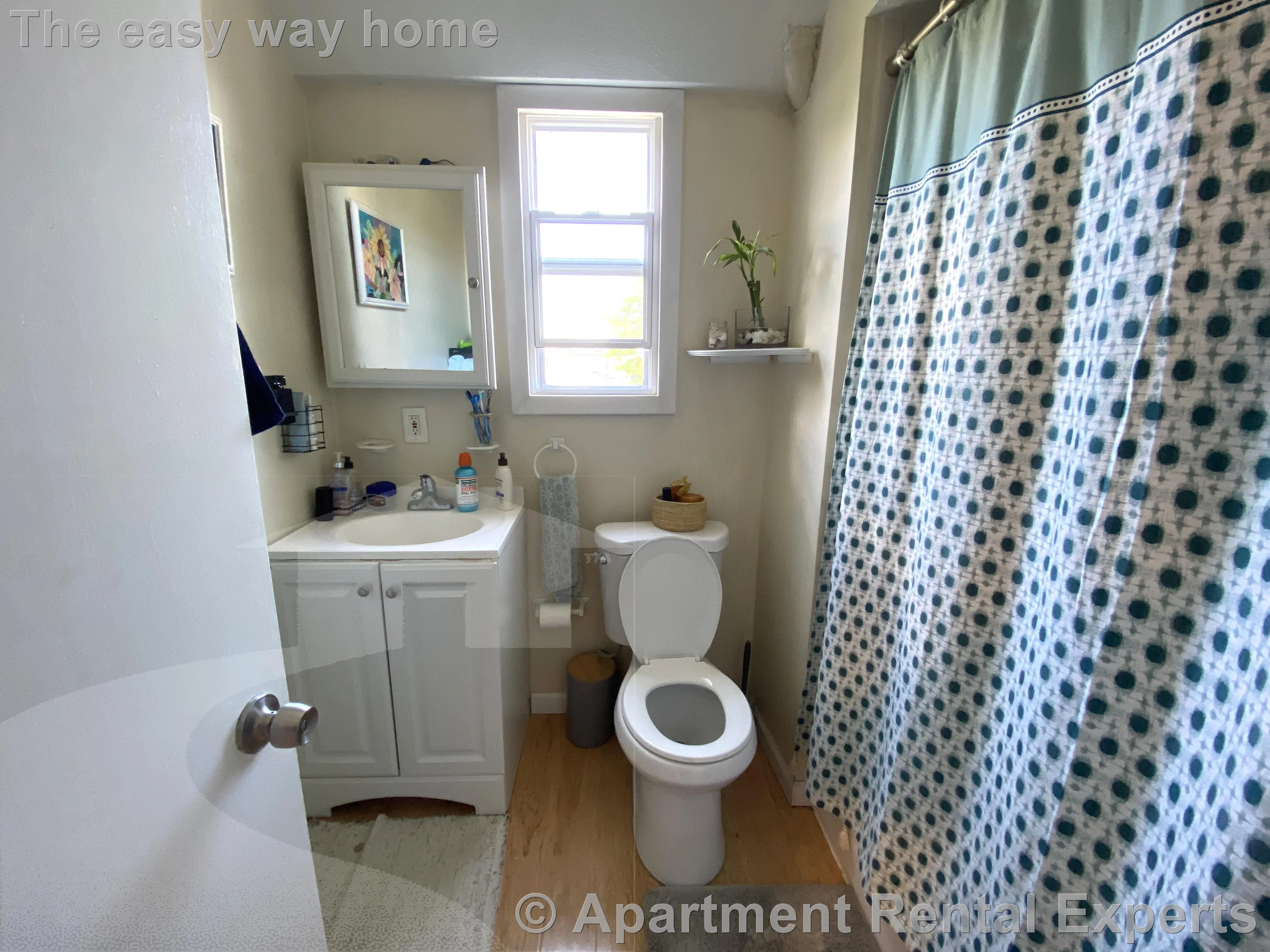 57 Bishop Allen Dr, Central Square