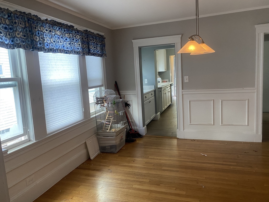 519 Belmont St, Belmont