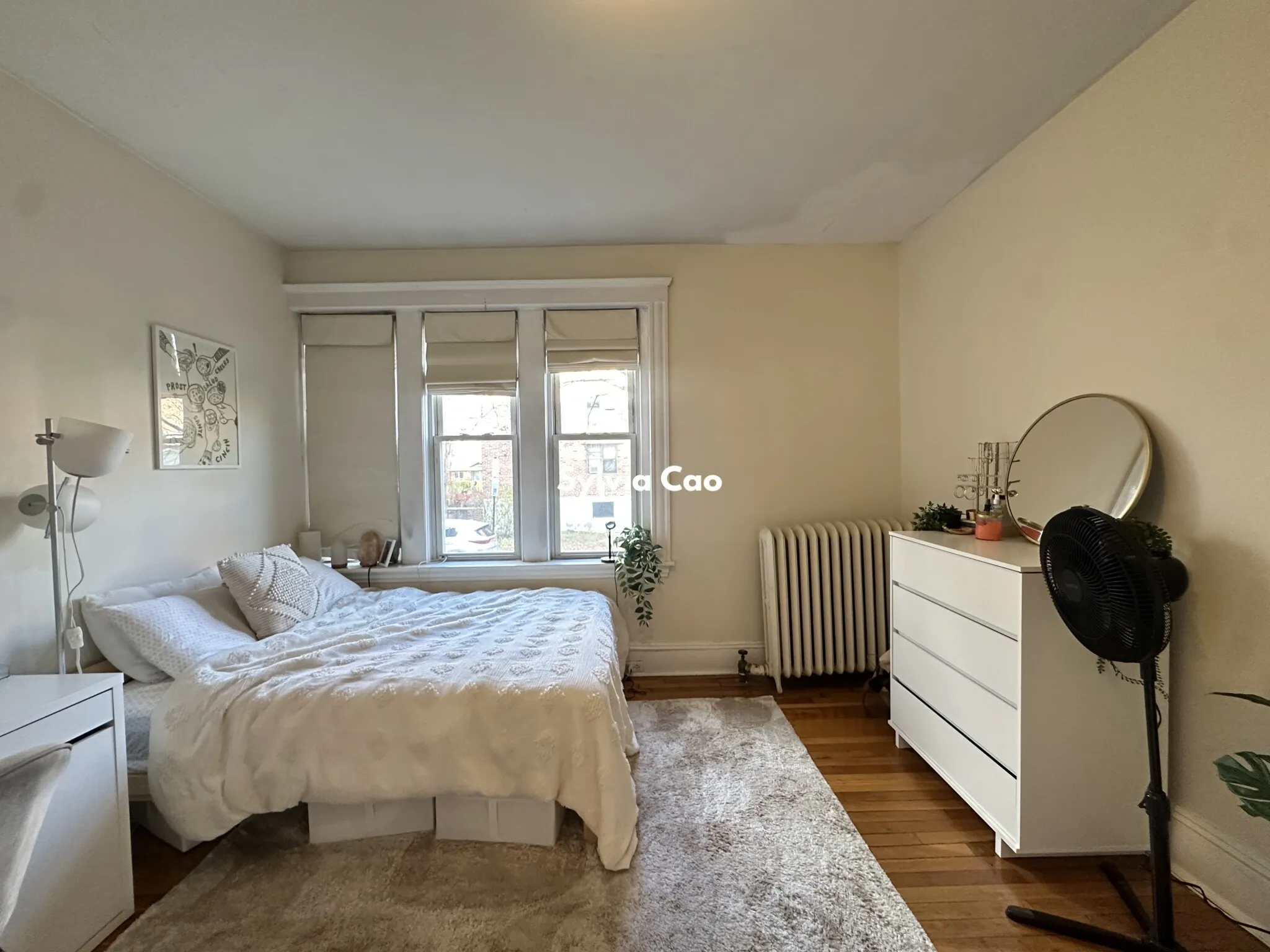 54 Egmont St, North Brookline