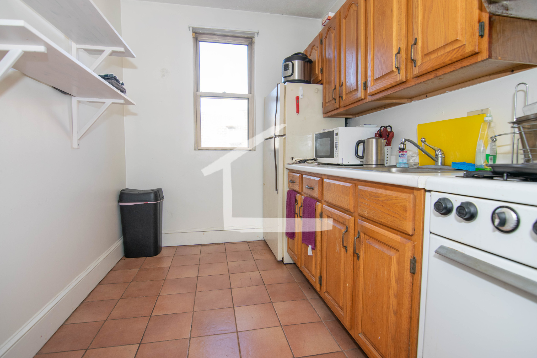 11 Scottfield Rd, Brighton