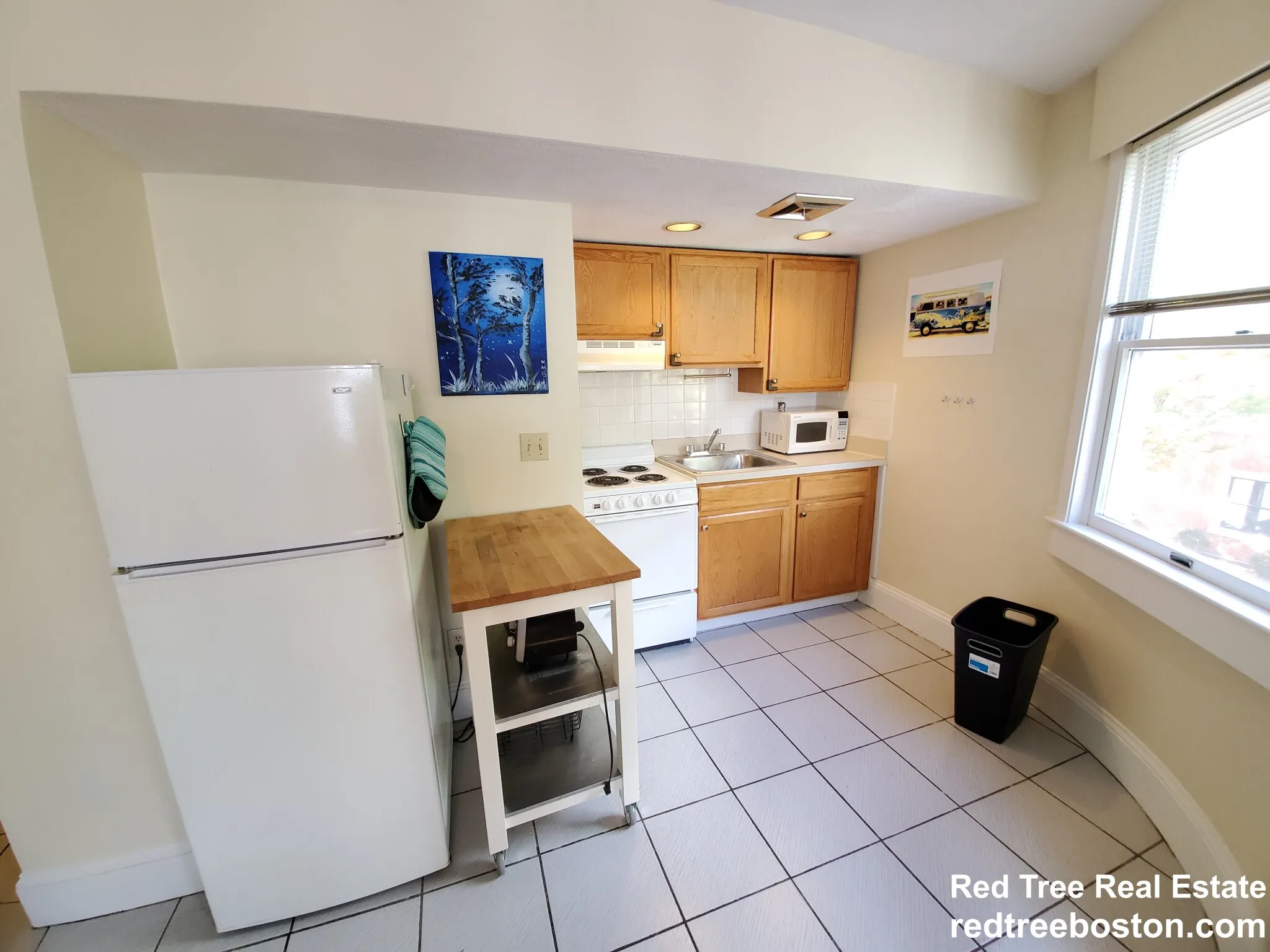 12 Mount Auburn St, Riverside