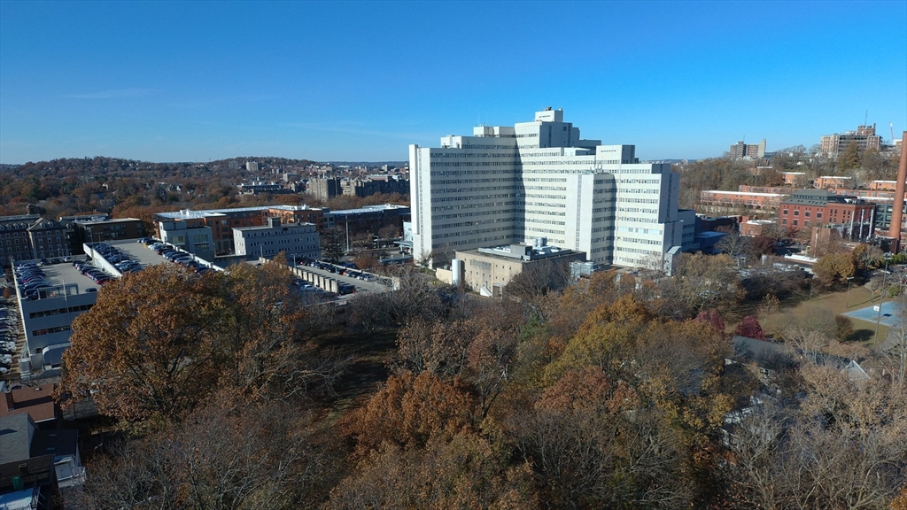 11 Arcola St, Jamaica Plain