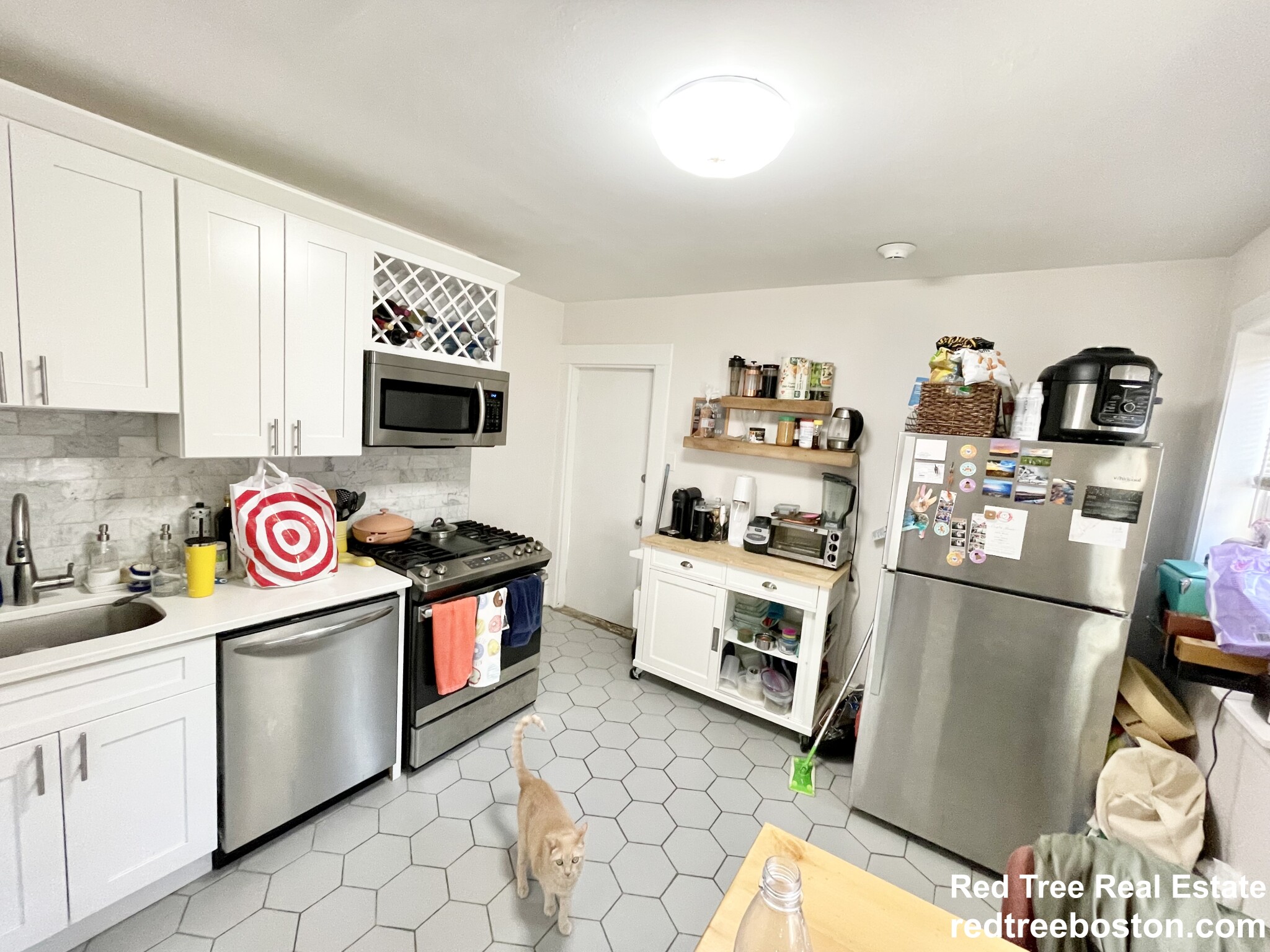 17 Spring Garden St, Dorchester