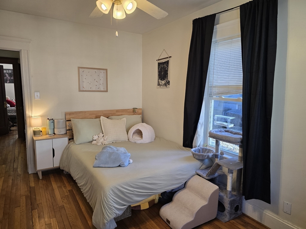 38 Hillside St, Mission Hill