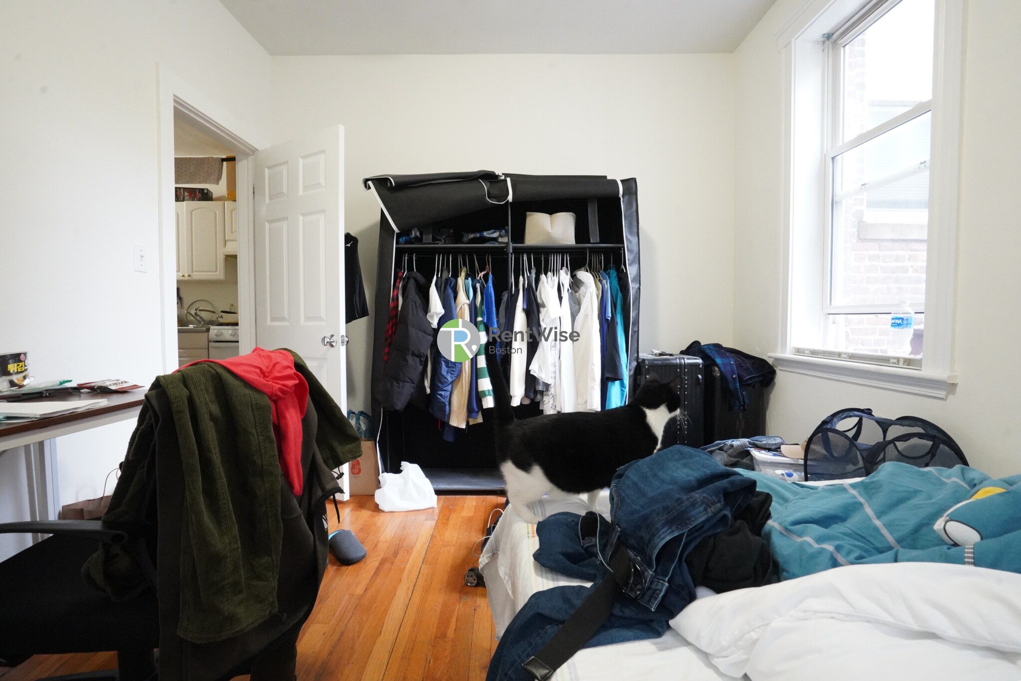 6 Camelot Ct, Brighton