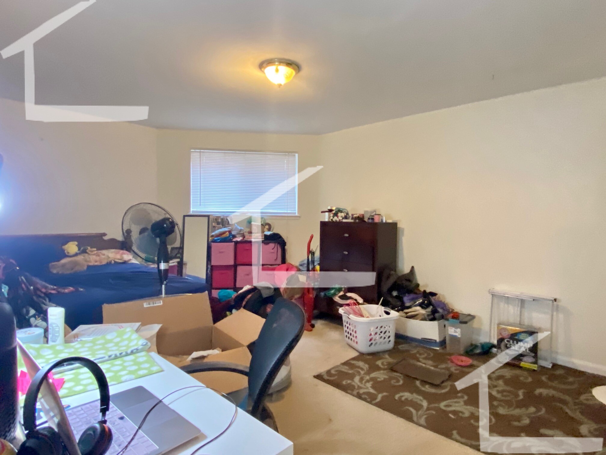 8 Griggs St, Brighton