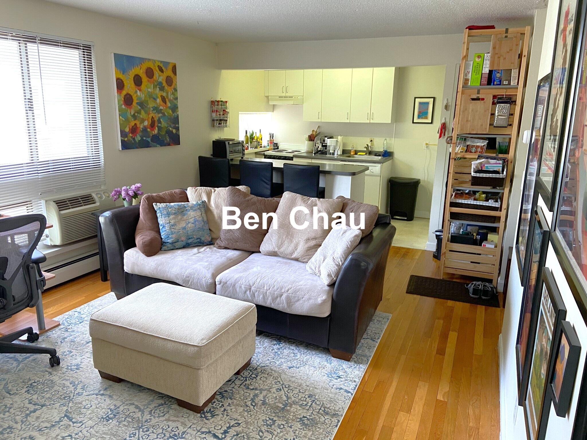 77 Trowbridge St, Mid-Cambridge