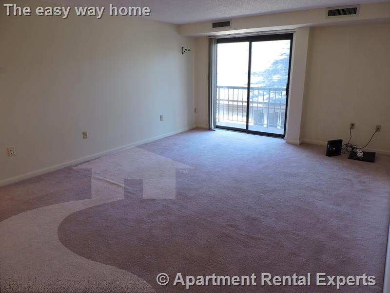 23 Elm St, Porter Square