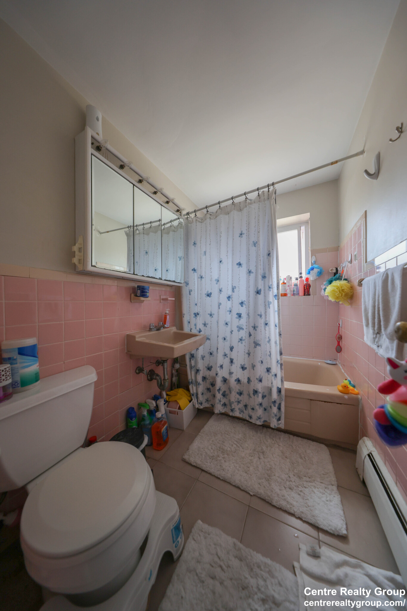 14 Bryon Rd, Chestnut Hill