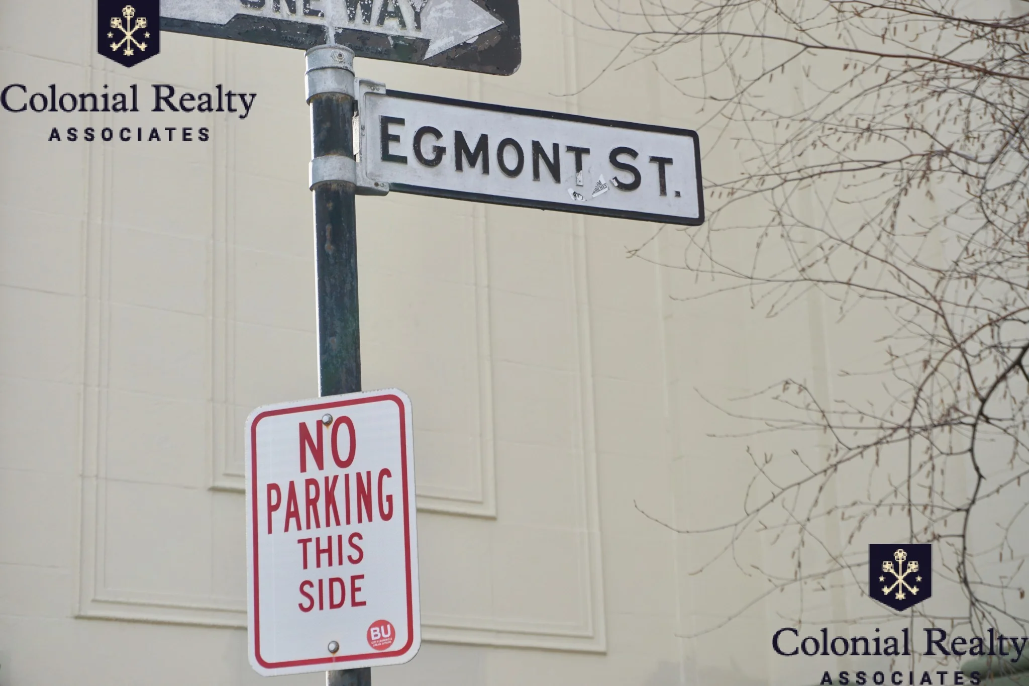 72 Egmont St, North Brookline