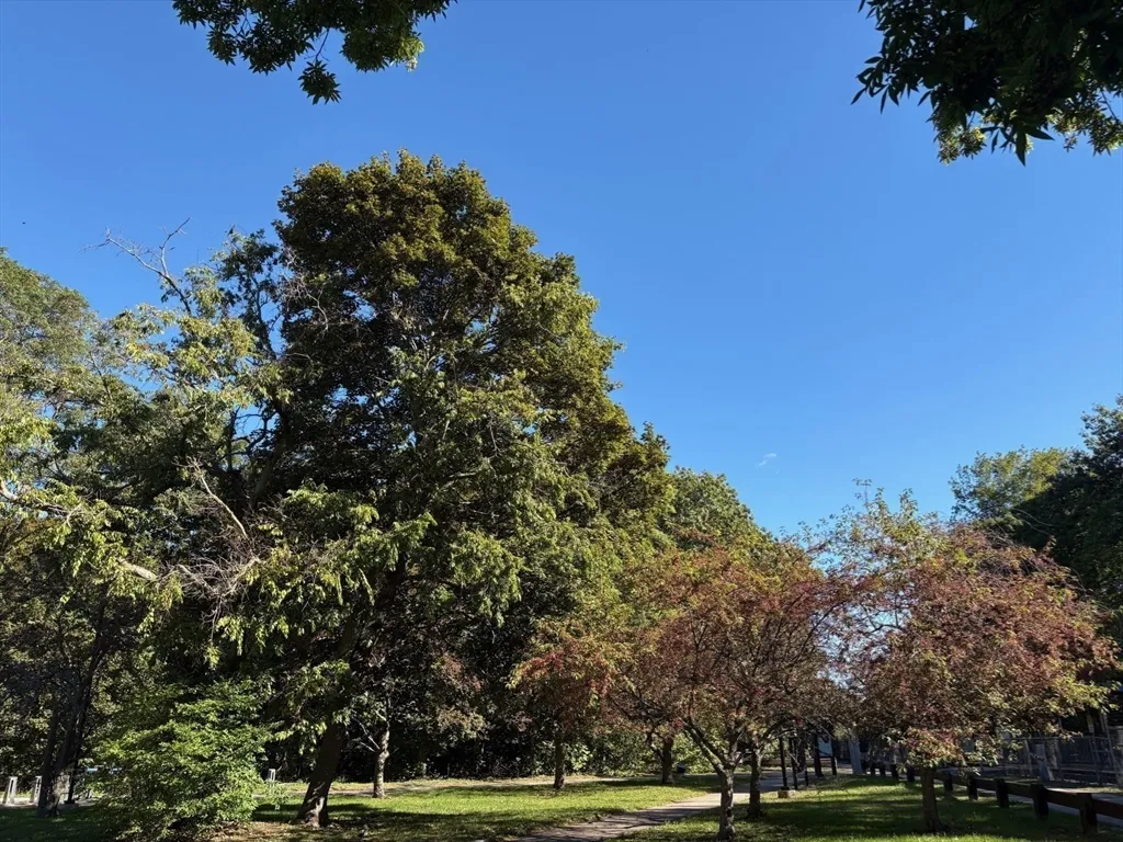 22 Branchfield St, Dorchester