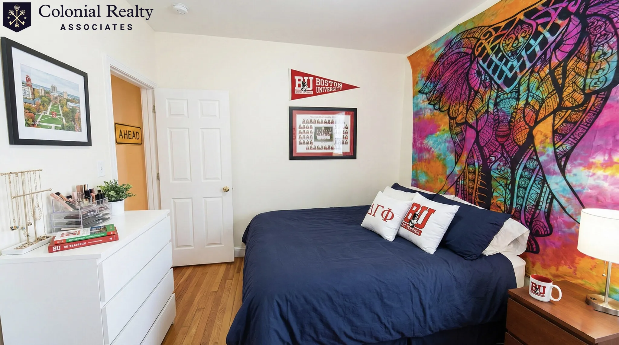 56 Egmont St, North Brookline