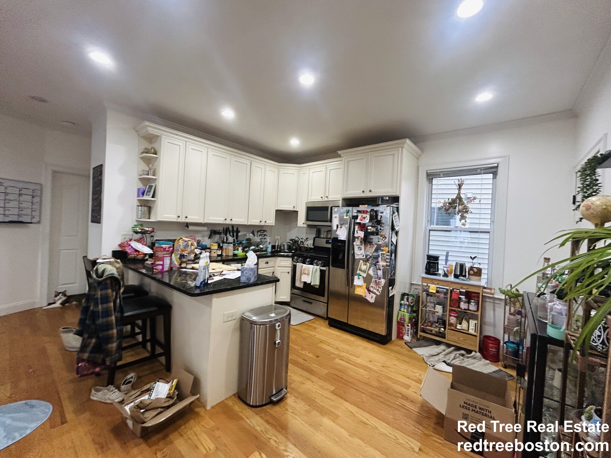 20 Armstrong St, Jamaica Plain