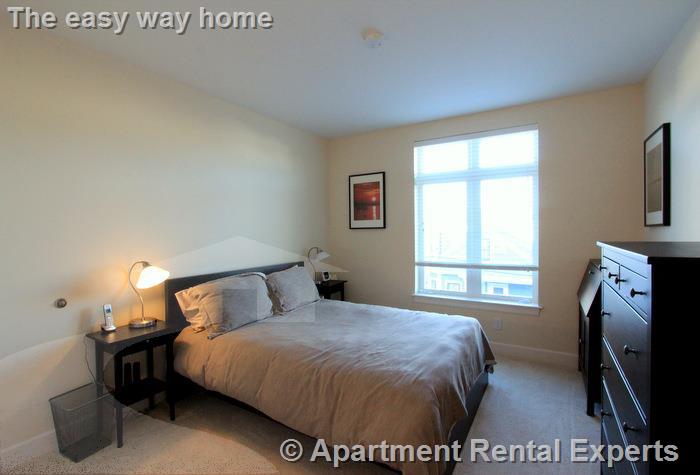 7 Cameron Ave, Davis Square