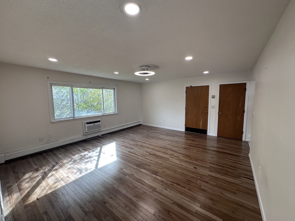 41 Will, Canton Junction