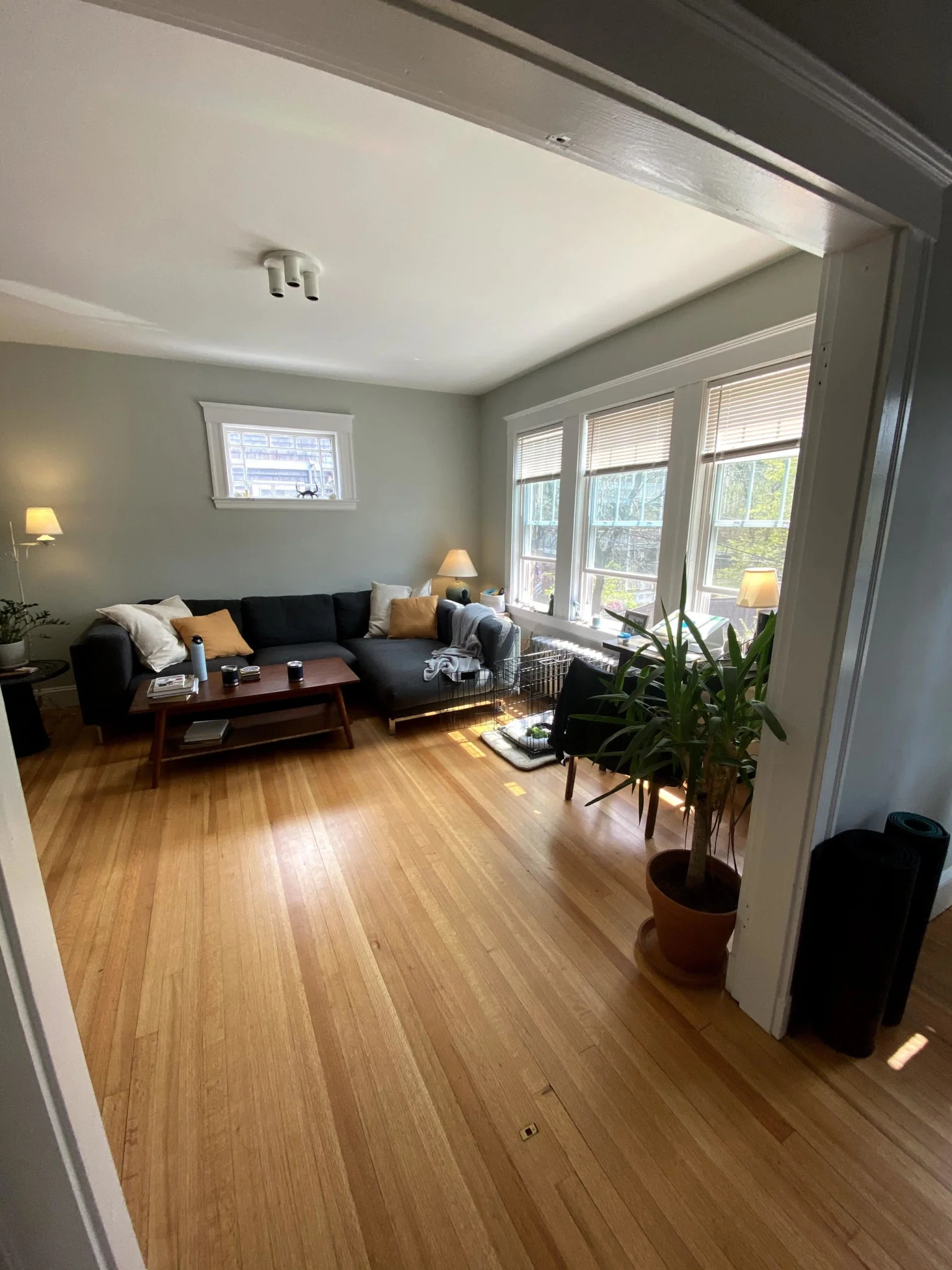 11-15 Stedman St, Jamaica Plain