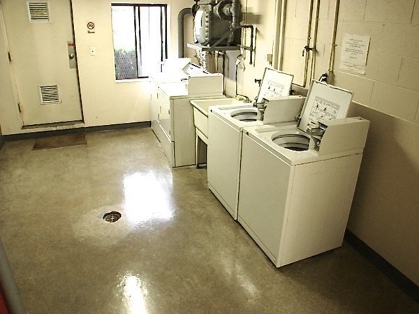 9 Ryder St, Arlington