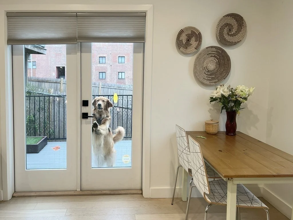 360 Meridian St, East Boston