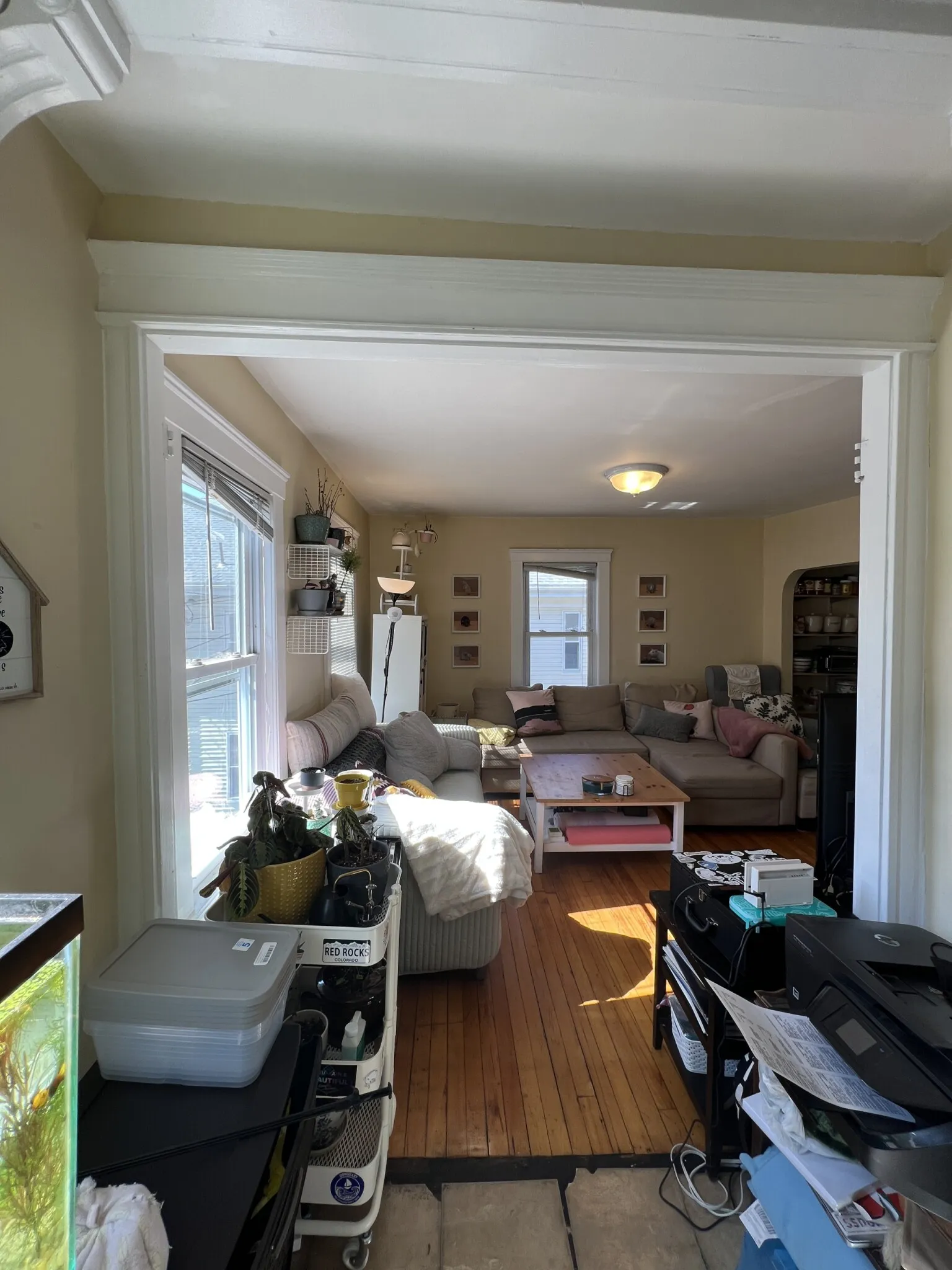 7 Craigie St, Spring Hill