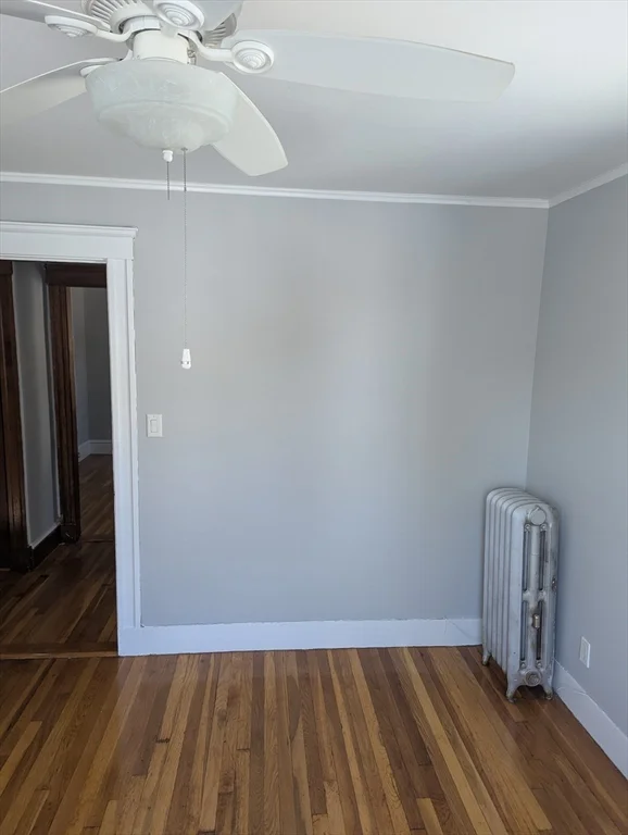 6 Violante St, Mattapan
