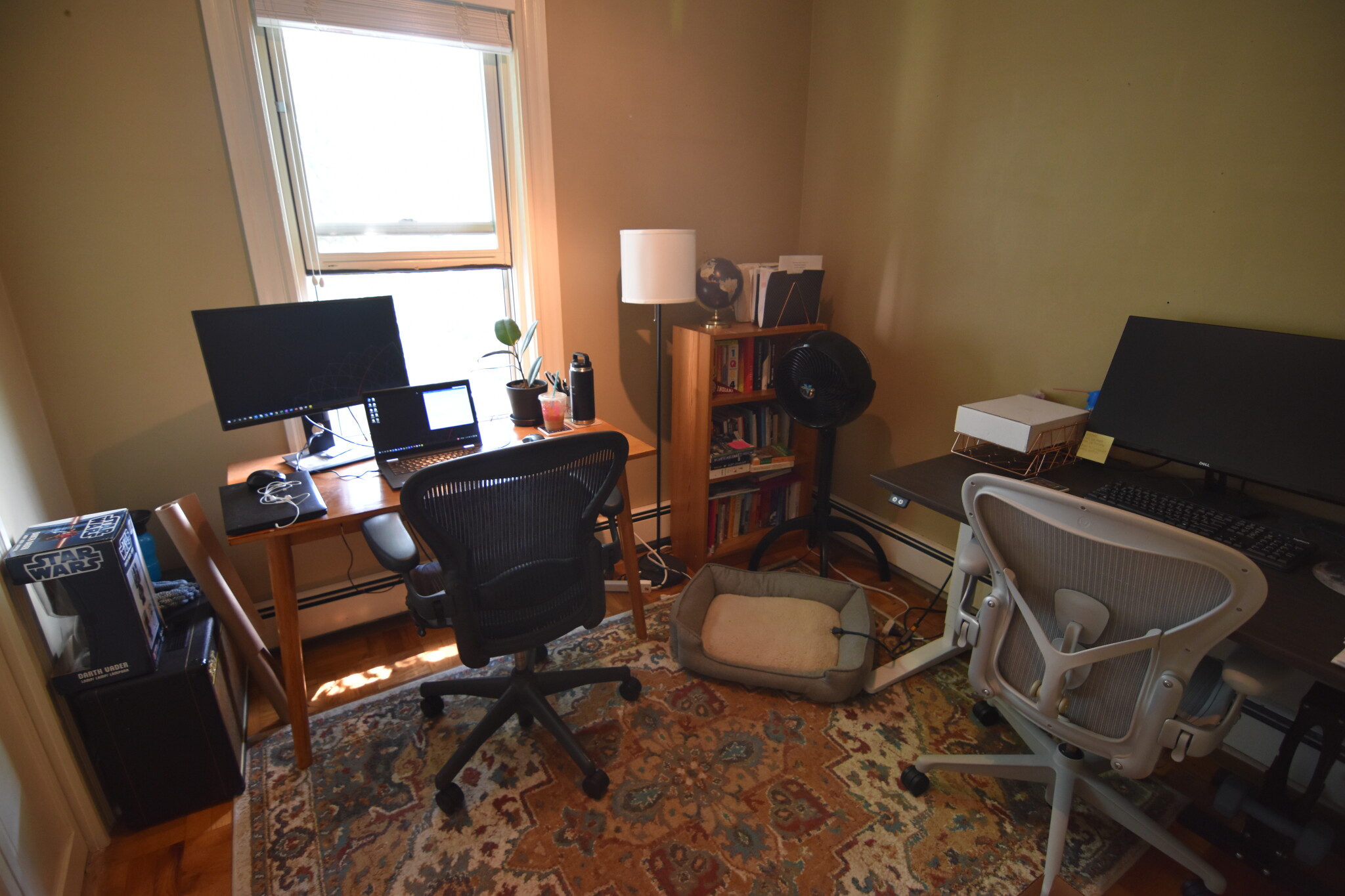 19 Craig Pl, Coolidge Corner