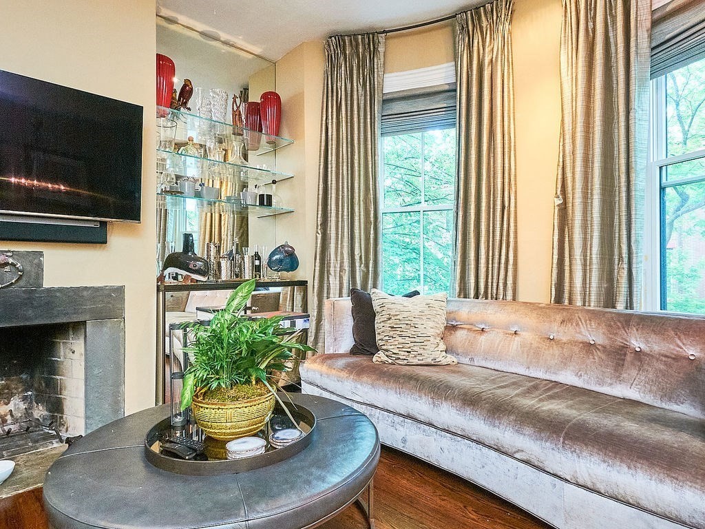 51 E Springfield, South End