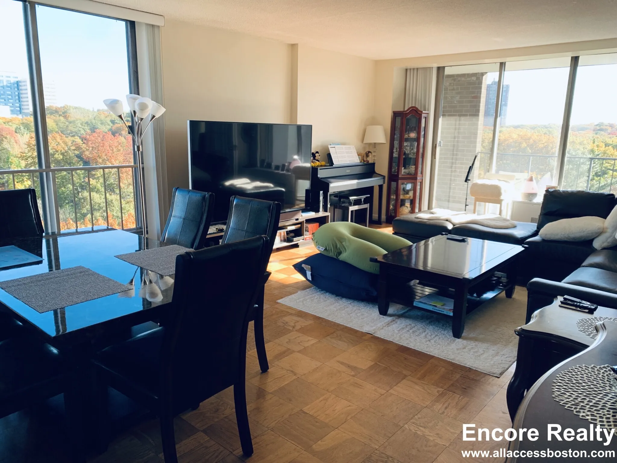 77 Pond Ave, Brookline Village