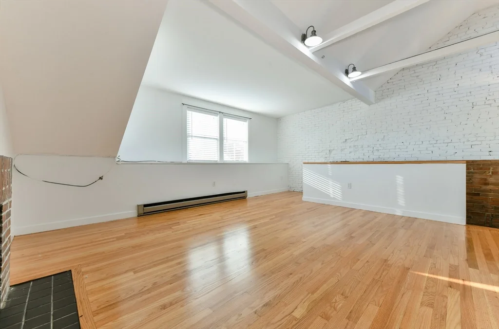 101 W Springfield St, South End