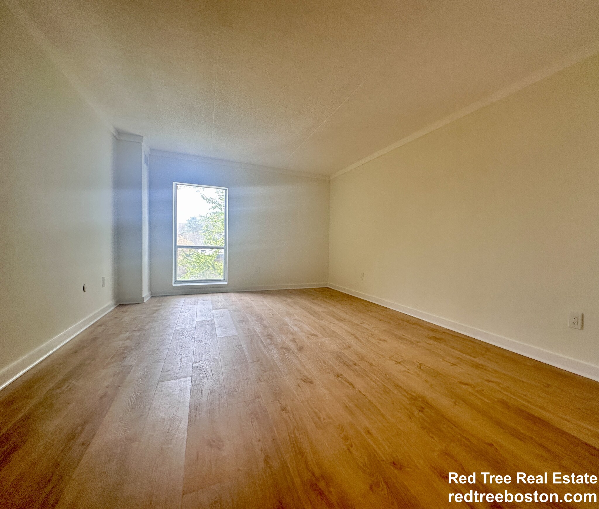 50-56 Broadlawn Park, Chestnut Hill