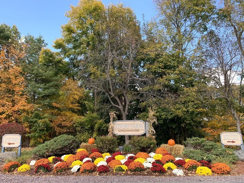 45 Kennedy Dr, North Chelmsford