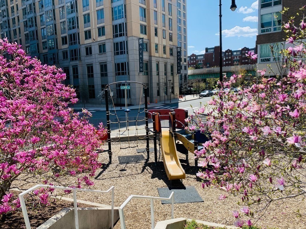 2 Earhart St, East Cambridge