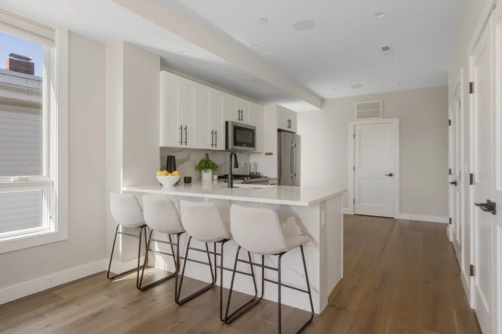 17 Chestnut Ave, Jamaica Plain