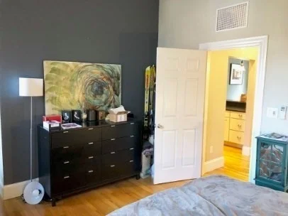 220 W Springfield St, South End