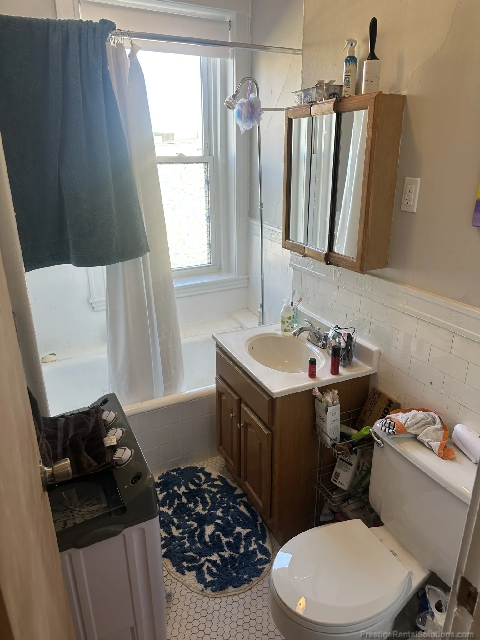 63 Woodstock Ave, Brighton