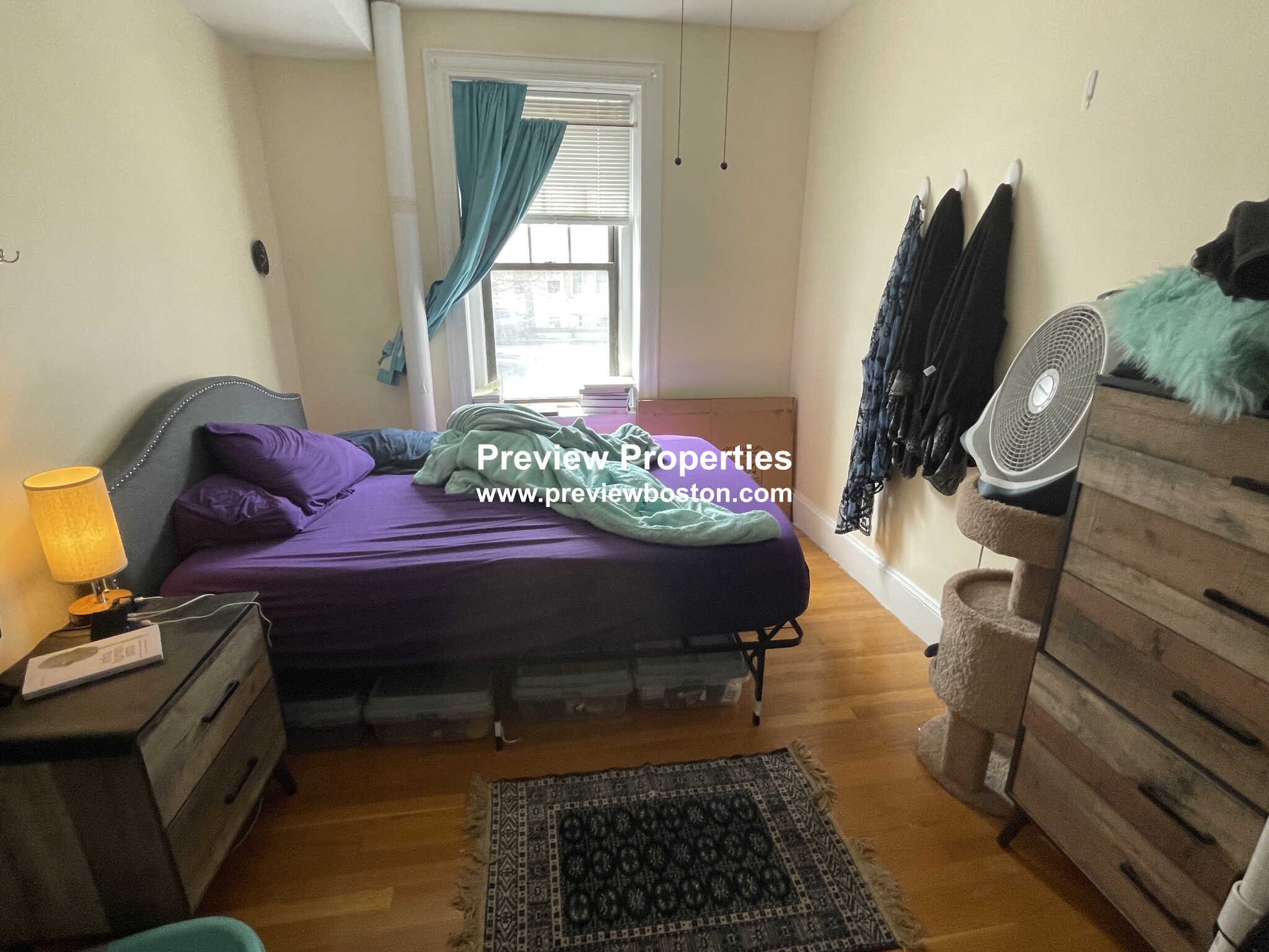 57 Brighton Ave, Brighton