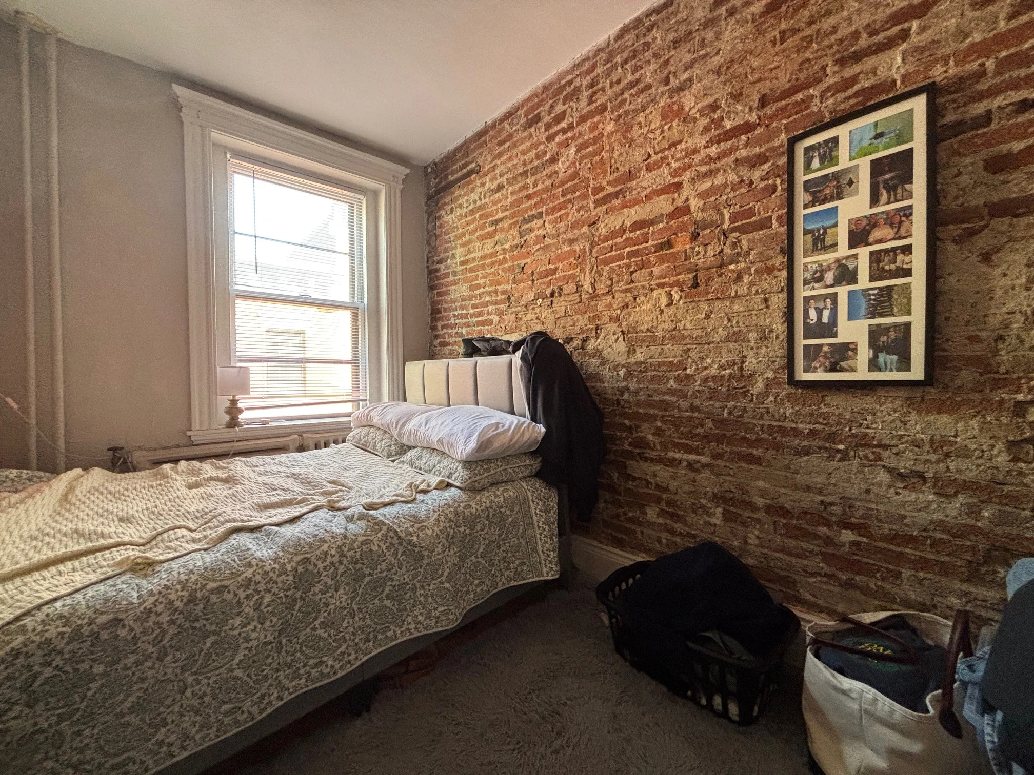 64 Myrtle St, Beacon Hill