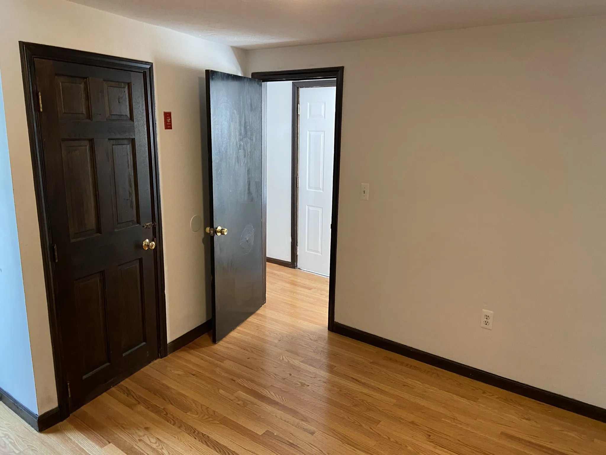 8 Shepard St, Brighton