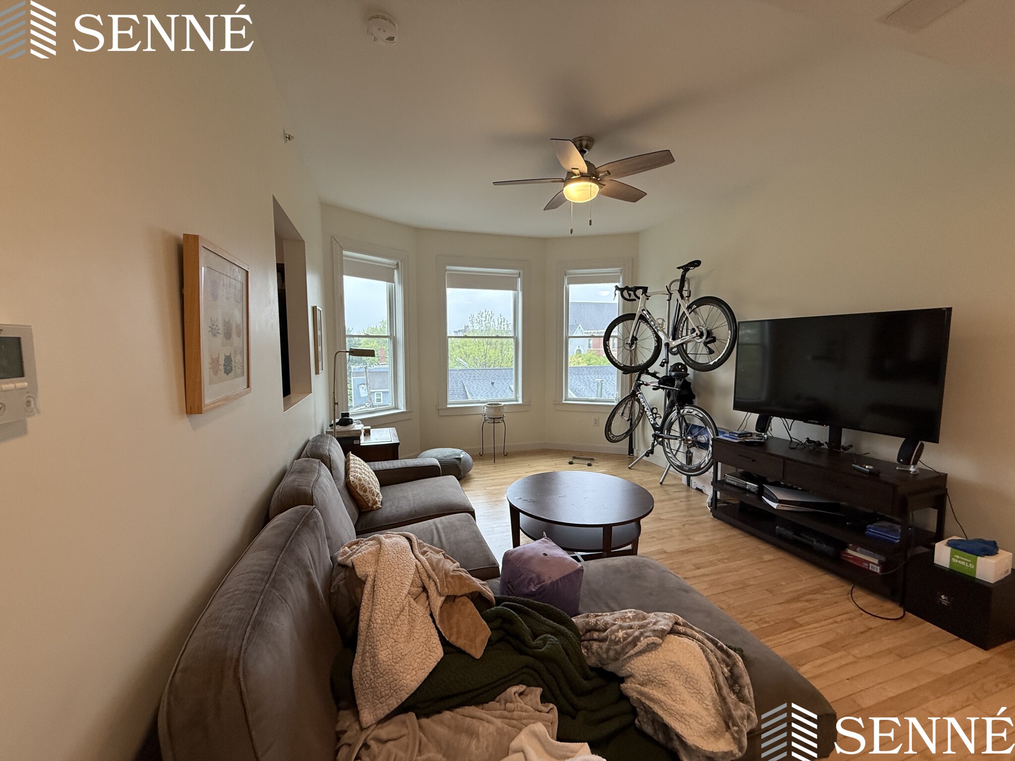 24 Magazine, Cambridgeport