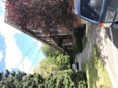 288 Grove St, Auburndale