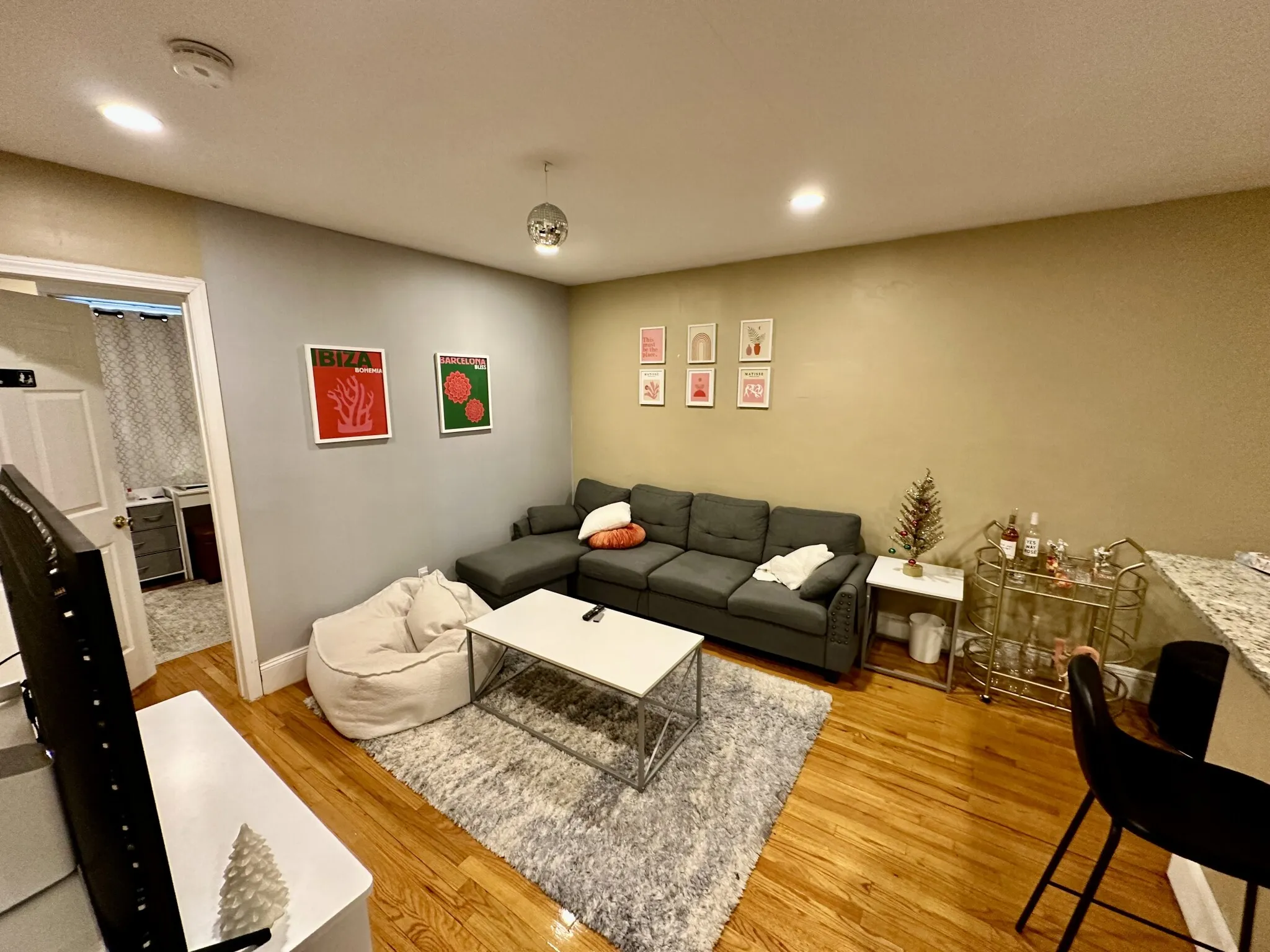 56 Egmont St, North Brookline