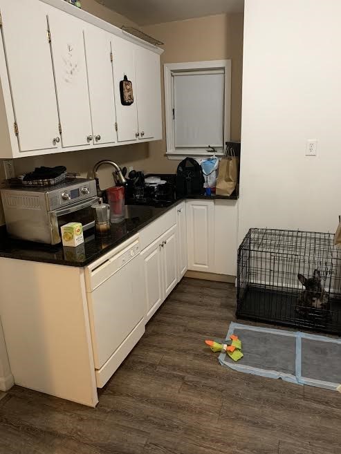 16 Leeds St, South Boston